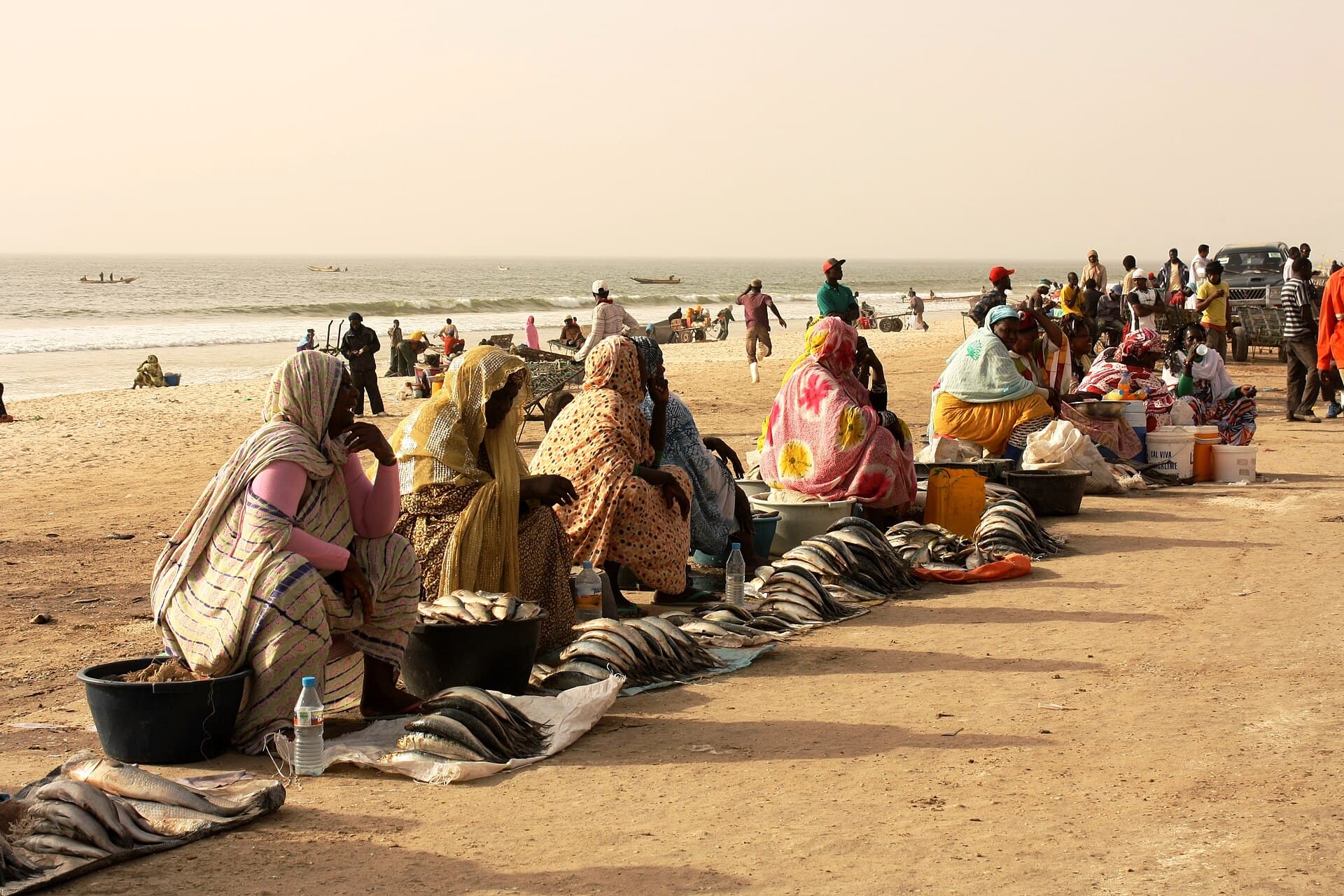 Fisheries and Blue Economy